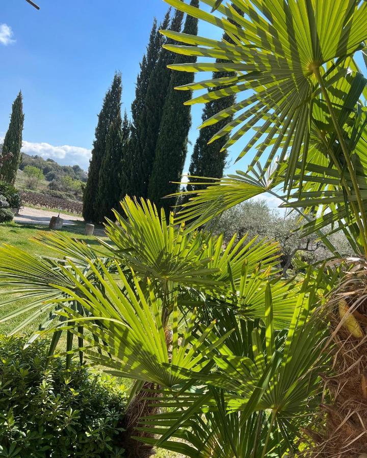 Domaine La Condamine Crillon Le Brave Hotel Exterior foto